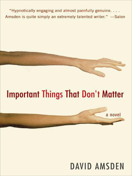 Title details for Important Things That Don't Matter by David Amsden - Available